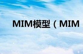 MIM模型（MIM MIM 矿山信息模型）