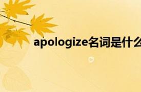 apologize名词是什么（apologize 英文单词）