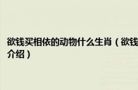 欲钱买相依的动物什么生肖（欲钱买两相依的动物是什么动物相关内容简介介绍）