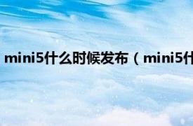 mini5什么时候发布（mini5什么时候上市的相关内容简介介绍）