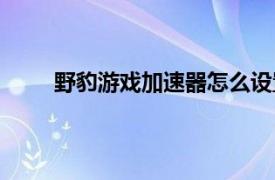 野豹游戏加速器怎么设置路径（野豹游戏加速器）