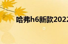 哈弗h6新款2022款价格（哈弗H6）