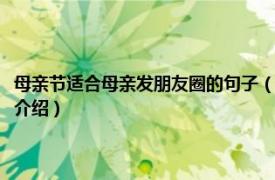 母亲节适合母亲发朋友圈的句子（母亲节发朋友圈的精美句子相关内容简介介绍）