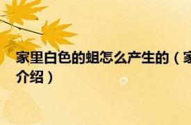 家里白色的蛆怎么产生的（家里出现白蛆怎么回事相关内容简介介绍）