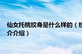 仙女托桃纹身是什么样的（纹身仙女托桃是什么意思相关内容简介介绍）