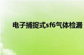 电子捕捉式sf6气体检漏（SF6气体红外成像检漏仪）