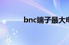 bnc端子最大电流（BNC端子）