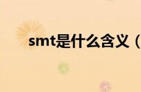 smt是什么含义（smt是什么意思啊）