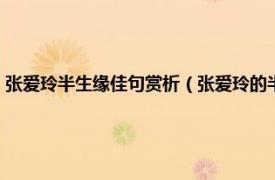 张爱玲半生缘佳句赏析（张爱玲的半生缘里有哪些名句相关内容简介介绍）