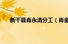 新干县肖永清分工（肖金生 新干县人民政府副县长）