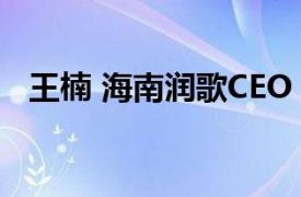 王楠 海南润歌CEO（王楠 海南润歌CEO）