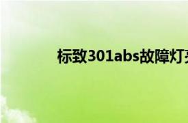 标致301abs故障灯亮怎么回事（标致301）