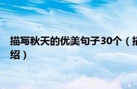 描写秋天的优美句子30个（描写秋天的好句好段相关内容简介介绍）