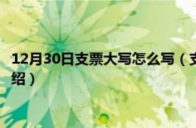 12月30日支票大写怎么写（支票30日大写怎么写相关内容简介介绍）