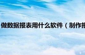 做数据报表用什么软件（制作报表用什么软件相关内容简介介绍）