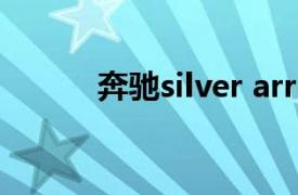 奔驰silver arrow现实中存在吗