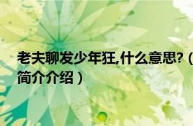 老夫聊发少年狂,什么意思?（老夫聊发少年狂什么意思相关内容简介介绍）