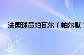 法国球员帕瓦尔（帕尔默 1983年生英格兰足球运动员）