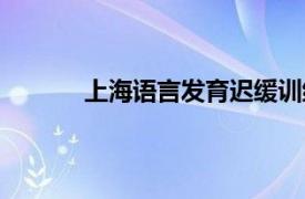 上海语言发育迟缓训练（语言发育迟缓训练）