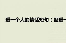 爱一个人的情话短句（很爱一个人的情话相关内容简介介绍）