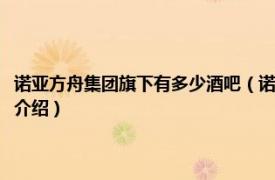 诺亚方舟集团旗下有多少酒吧（诺亚方舟集团旗下有哪些酒吧相关内容简介介绍）