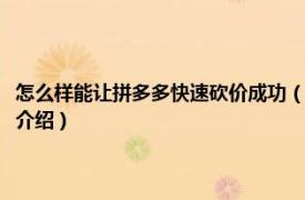 怎么样能让拼多多快速砍价成功（拼多多砍价怎么能快速成功相关内容简介介绍）