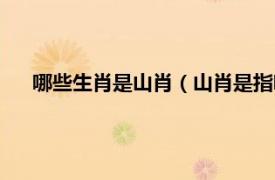 哪些生肖是山肖（山肖是指哪几个生肖相关内容简介介绍）