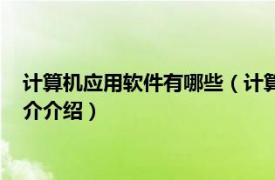 计算机应用软件有哪些（计算机应用软件都包括什么相关内容简介介绍）