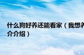 什么狗好养还能看家（我想养只看家狗选什么比较好相关内容简介介绍）