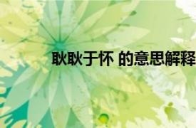 耿耿于怀 的意思解释（耿耿于怀的意思解释）