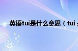 英语tui是什么意思（tui 是什么梗相关内容简介介绍）