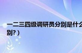 一二三四级调研员分别是什么级别（一二三四级调研员是什么级别?）