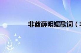 非酋薛明媛歌词（非酋 薛明媛演唱歌曲）