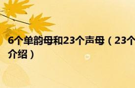 6个单韵母和23个声母（23个声母6个单韵母是什么相关内容简介介绍）