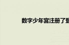 数字少年宫注册了登录不了（数字少年宫）