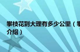 攀枝花到大理有多少公里（攀枝花到大理多少公里相关内容简介介绍）