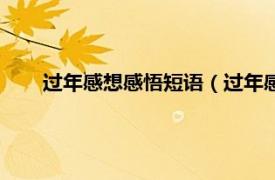 过年感想感悟短语（过年感慨的心情相关内容简介介绍）