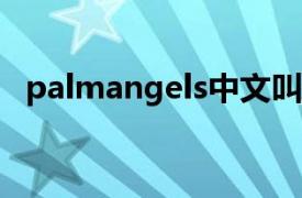 palmangels中文叫什么（Palm Angels）