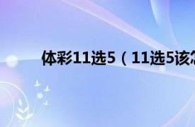 体彩11选5（11选5该怎么买相关内容简介介绍）