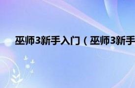 巫师3新手入门（巫师3新手技巧有什么相关内容简介介绍）