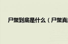 尸蟞到底是什么（尸蟞真的存在吗相关内容简介介绍）