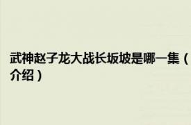 武神赵子龙大战长坂坡是哪一集（武神赵子龙长坂坡是哪一集相关内容简介介绍）