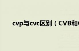 cvp与cvc区别（CVB和C的区别相关内容简介介绍）