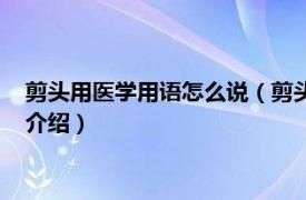 剪头用医学用语怎么说（剪头发用医学术语怎么说相关内容简介介绍）