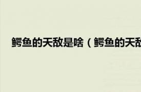 鳄鱼的天敌是啥（鳄鱼的天敌是什么动物相关内容简介介绍）