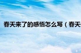 春天来了的感悟怎么写（春天来了心情感悟相关内容简介介绍）