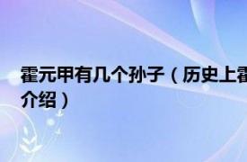 霍元甲有几个孙子（历史上霍元甲到底有几个儿子相关内容简介介绍）