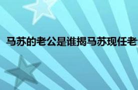 马苏的老公是谁揭马苏现任老公个人资料（马苏老公现任是谁）