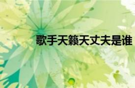 歌手天籁天丈夫是谁（老公 天籁天演唱歌曲）