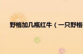 野格加几瓶红牛（一只野格要几瓶红牛相关内容简介介绍）